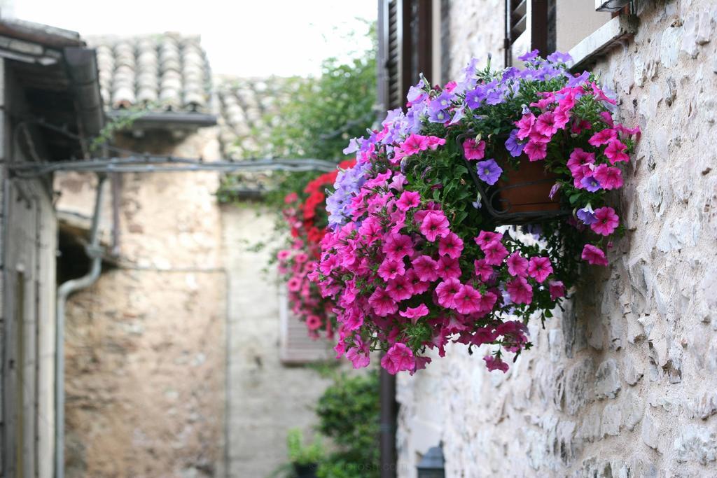 Hotel Palazzo Brunamonti Bevagna Bagian luar foto