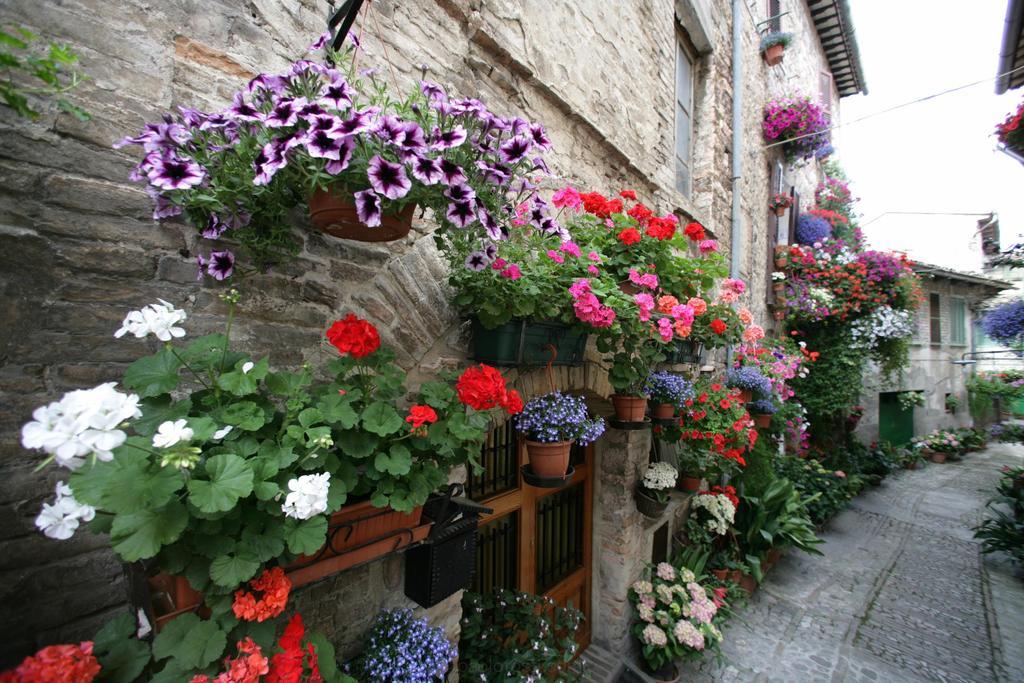 Hotel Palazzo Brunamonti Bevagna Bagian luar foto